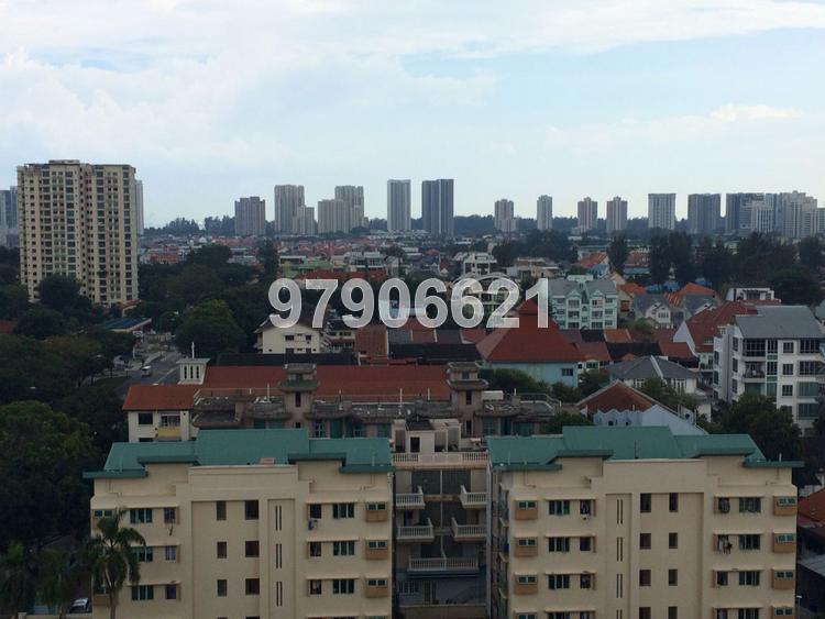 Katong Regency (D15), Apartment #113272542